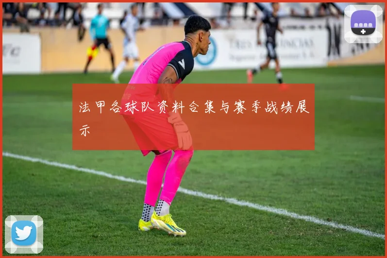 法甲各球队资料合集与赛季战绩展示