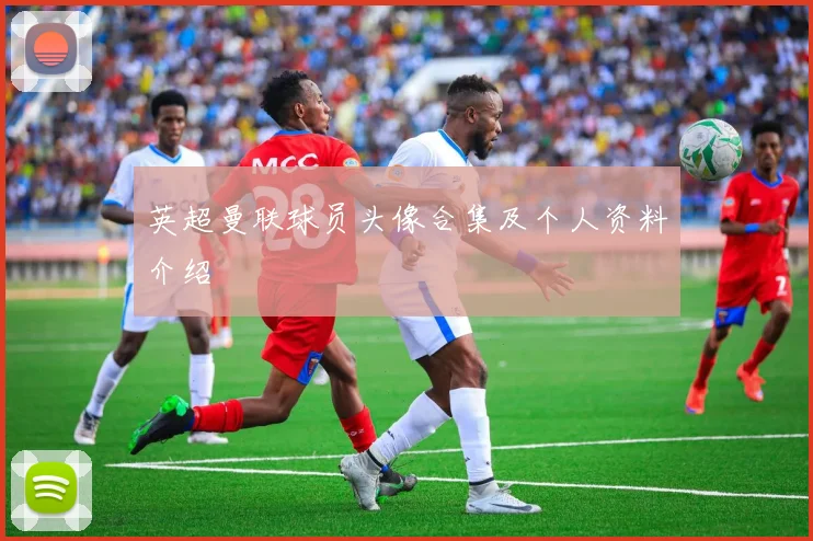 英超曼联球员头像合集及个人资料介绍