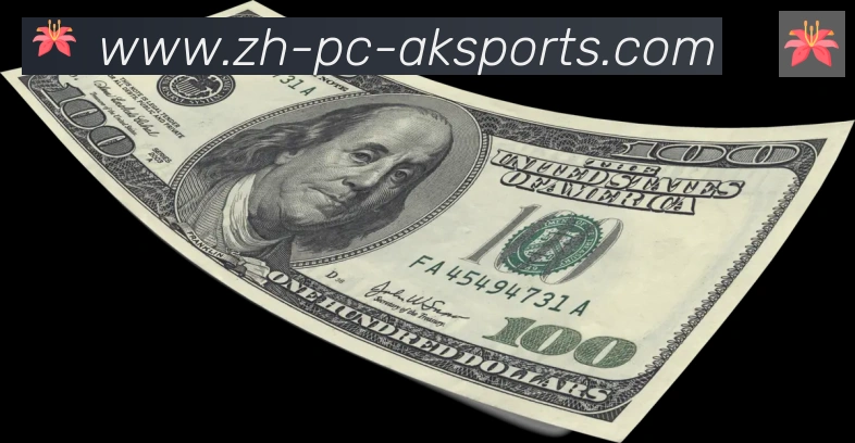 未来规划